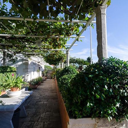 Guest House Jelica Ντουμπρόβνικ Εξωτερικό φωτογραφία