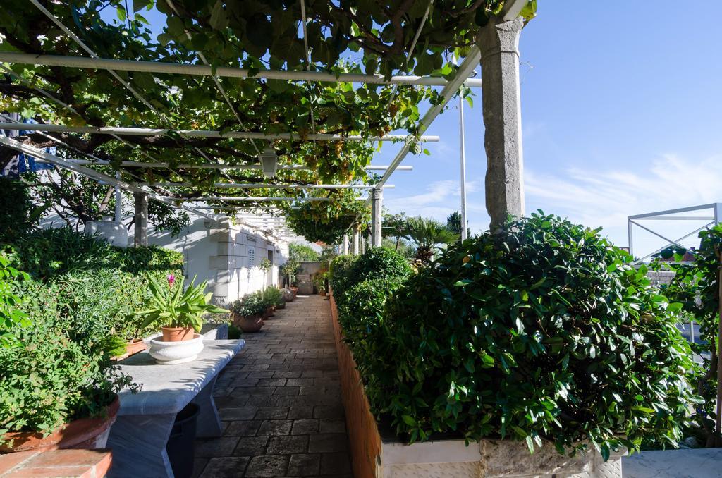 Guest House Jelica Ντουμπρόβνικ Εξωτερικό φωτογραφία