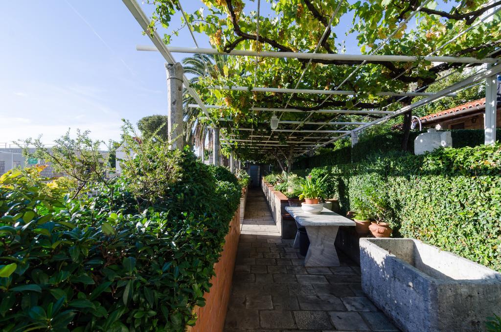 Guest House Jelica Ντουμπρόβνικ Εξωτερικό φωτογραφία